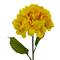 Yellow Gold Hydrangea Stem by Ashland&#xAE;
